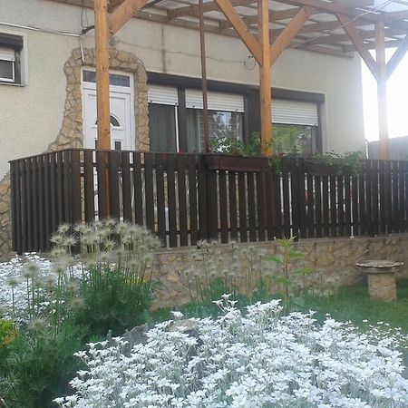 Ferienwohnung Nati Es Bea Vendeghaz Hajdúszoboszló Zimmer foto